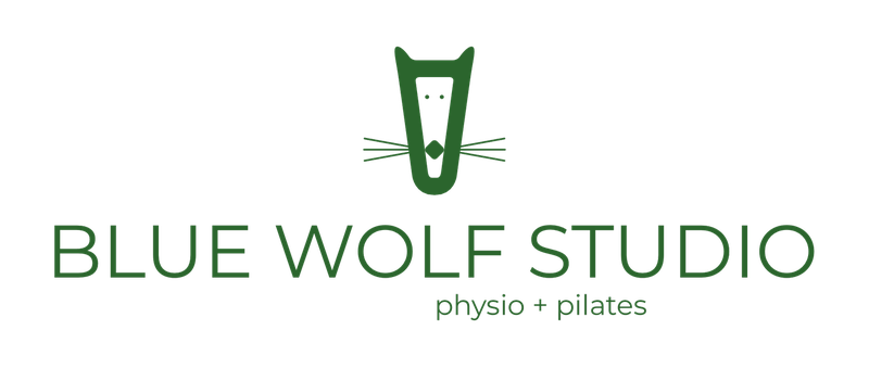 Blue Wolf Studio | Physio + Pilates